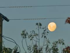 오늘 생일이라며.