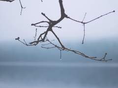 [희신강징] 知音 2