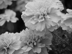 내 10년 끝 함께 존재할 너에게,