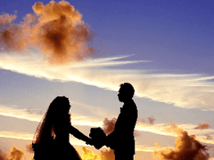 개념이 없으면 맷집이라도 좋던지