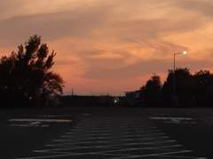 밝아오는 여명 속의 우리는,