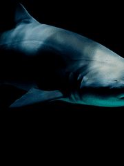 현재 그리고 과거와 미래