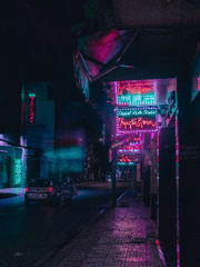 예언이 빗나간 날, 하늘에서는 유성이 떨어졌다.