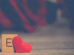 인터스텔라포일 알라이 호 - 양 ver.