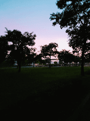 단편이라 부르는