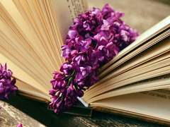 두 손에는 꽃의 온기가 남아있었다