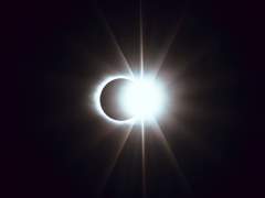 [중혁독자/제천독자]당신의 별들에게 투표하세요! - 1