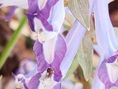 당신에게서 나는 무엇을 보았나