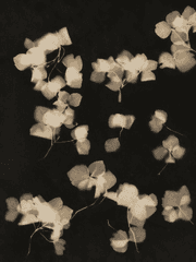 영원한 여름 속에서