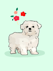 반려동물 커미션