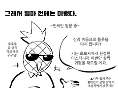 입문, 입문, 입문!