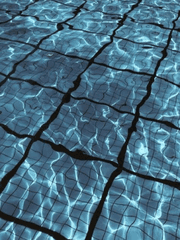 연민이라는 두글자로