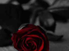 [에릭크리] You Are Music