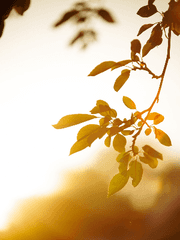 [연재]   煙霞日輝