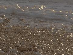 럭키스케베 언럭키스타