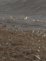 사랑이 아름다운 이유