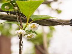 다정했던 후배님에게.