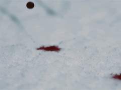 하얗게 직선으로 추락하며*