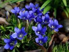 당신이 슬플때 나는 사랑한다