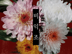 비익조~比翼鳥~ 06