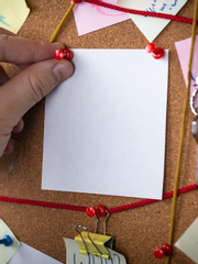 놀이동산 연쇄 살인 사건