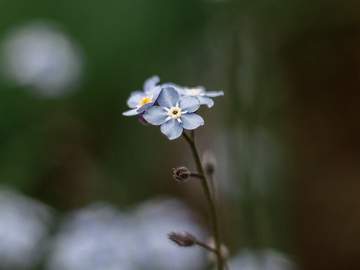 12시가 지나기 전의 신데렐라