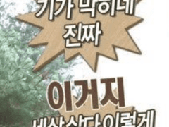 드래곤 케이브 스크롤