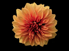 나 좀 살려줄래요? 10 (完)