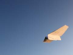 제 말에 온전한 진실만이