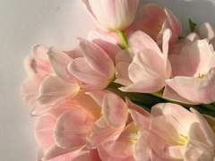 당신에게 꼭 말해주고 싶었어요