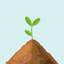 새싹🌱