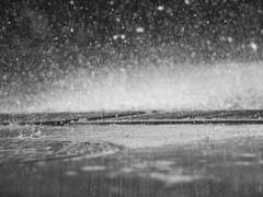 반듯하게 접고 봉투에 넣어