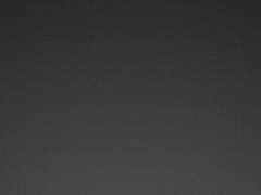 [닉클닉] 11 bpm의 BPM 37093