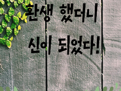 환생했더니 신이 되었다!