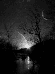 교주는 아직 그들을 버리지 못했다.