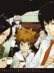 본고레 아이돌 썰