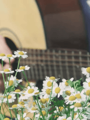 과장 조금 섞인 말들