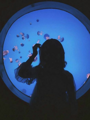 단편 [펜트하우스]