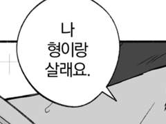 27 / 호우주의보