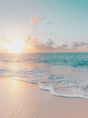 미스터리 수사반 연성