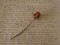 𝑲𝒂𝒌𝒂𝒐 𝑴𝒂𝒍𝒄𝒉𝒂 𝑹𝒐𝒍𝒍 𝑪𝒂𝒌𝒆