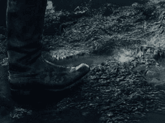 나코소버페퍼민트 SP #1