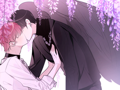 [장택] 등나무꽃