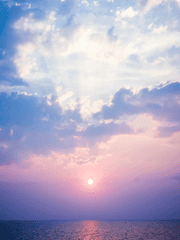 쌍둥이 그릇은 어느 곳에서도 환영받지 못한다 - 마사