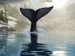 " 오늘 사연과 함께 들을 신청곡은 ... "