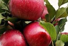 욕심이라는 욕망은.