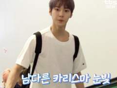 김도영 노딱 나페스 추천