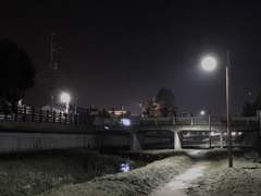 그래도 괜찮으니 남아주라 영영