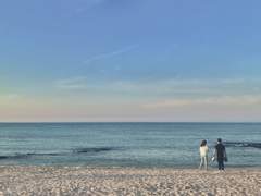 한숨 자고 일어나면 우리, 그것들을 거두러 가자