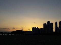 달음박질 중 쉬어가는 시기로부터